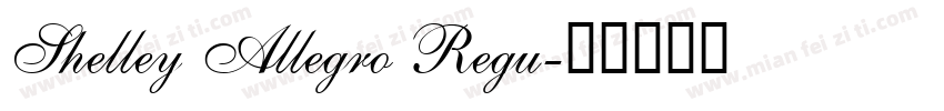 Shelley Allegro Regu字体转换